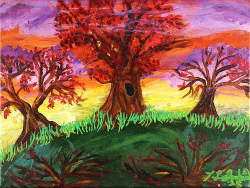 Auburn Fields