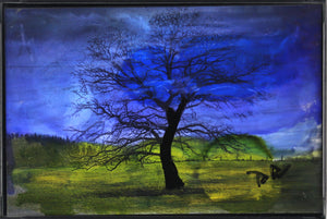 Blue Tree