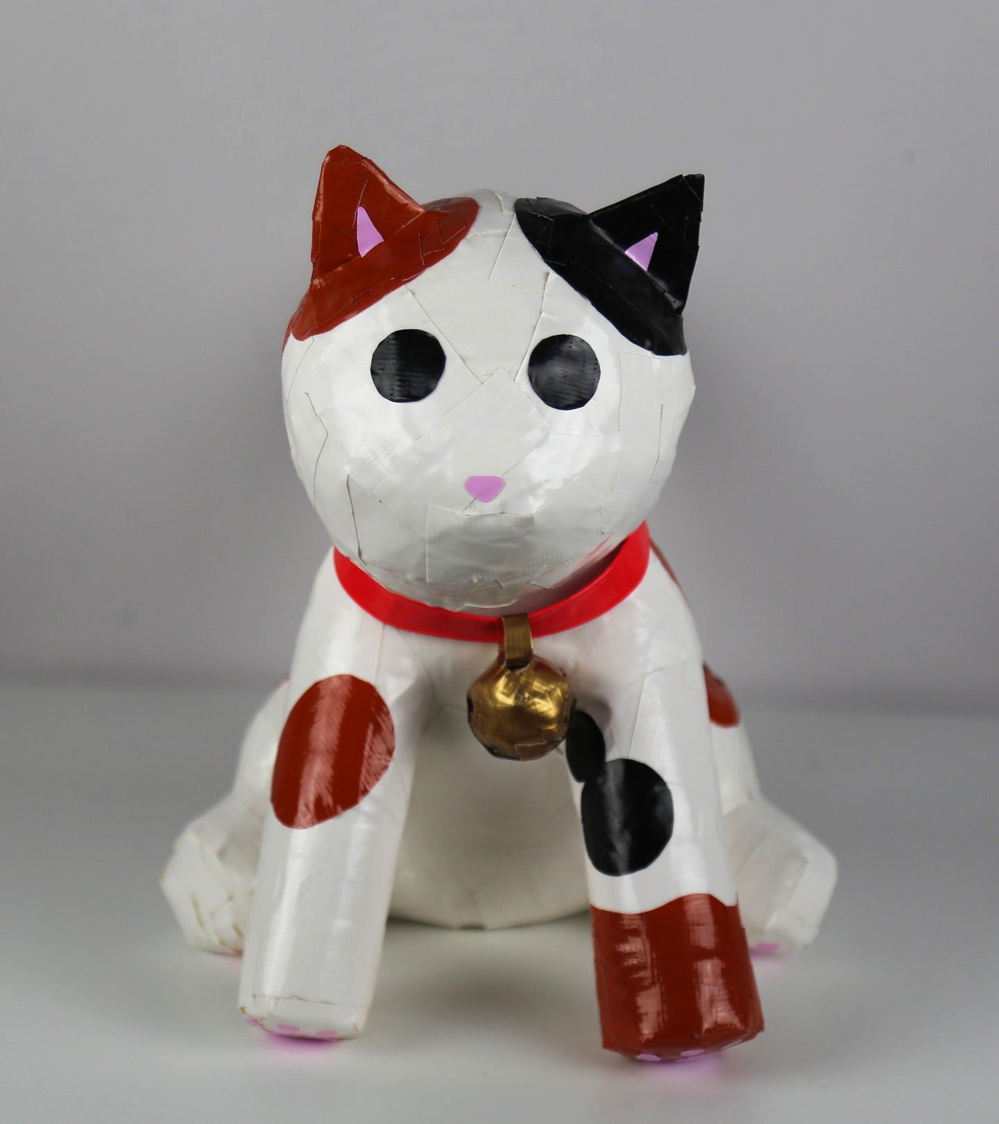Calico Cat