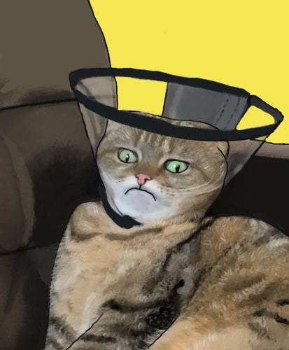 Cone of Shame Poster Print