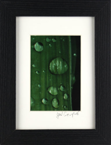 Dewdrop