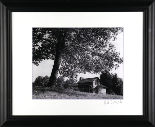 Homestead
