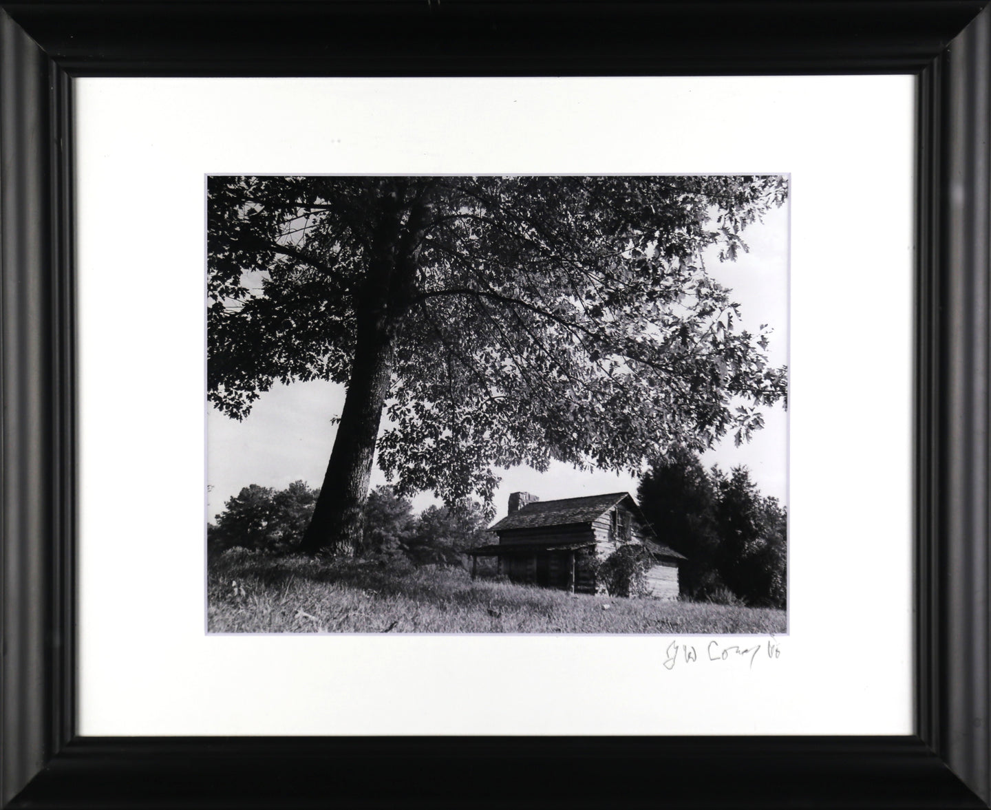 Homestead