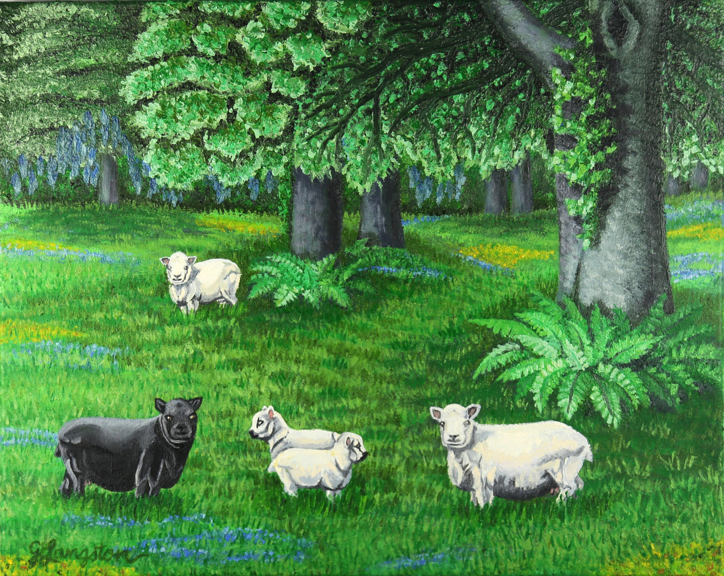 Meadow's Glimpse