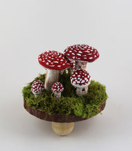 Load image into Gallery viewer, Mushroom Scene