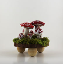 Load image into Gallery viewer, Mushroom Scene