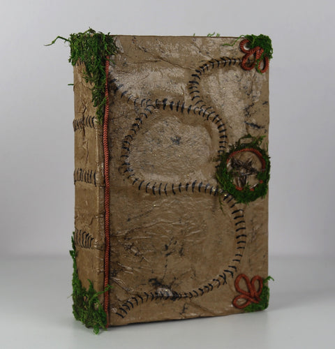 The Sanderson Sisters' Hideaway Book